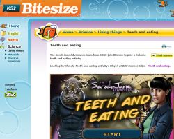 science clips website teeth and eating