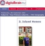 Digital Brain - islands