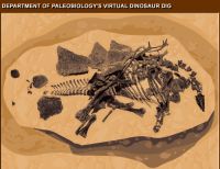 virtual dinosaur dig