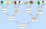 food branching database