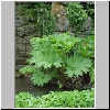 chatsworth34.JPG