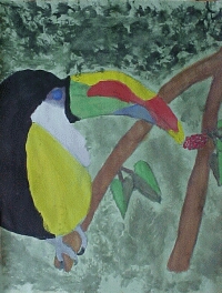 rainforest11.jpg - 51224 Bytes