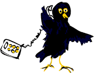blackbird