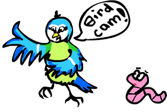 Bluey