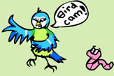 bluey