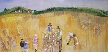 Harvest time