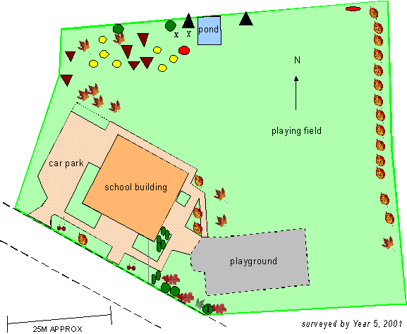 tree survey