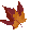 maple