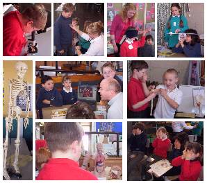 science week 2004