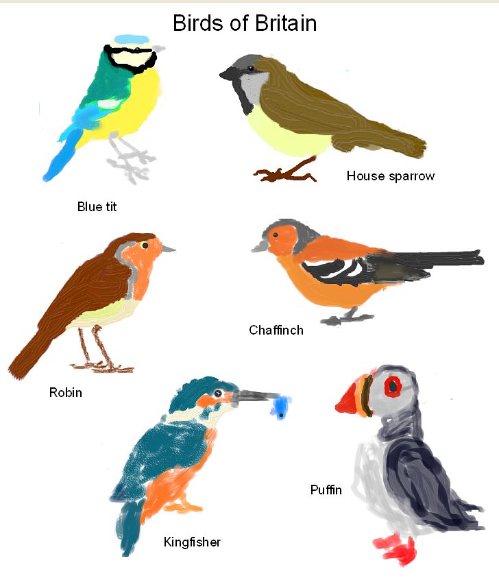 Birds of Britain