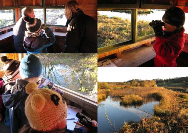 Birdwatching at Ogston Reservoir