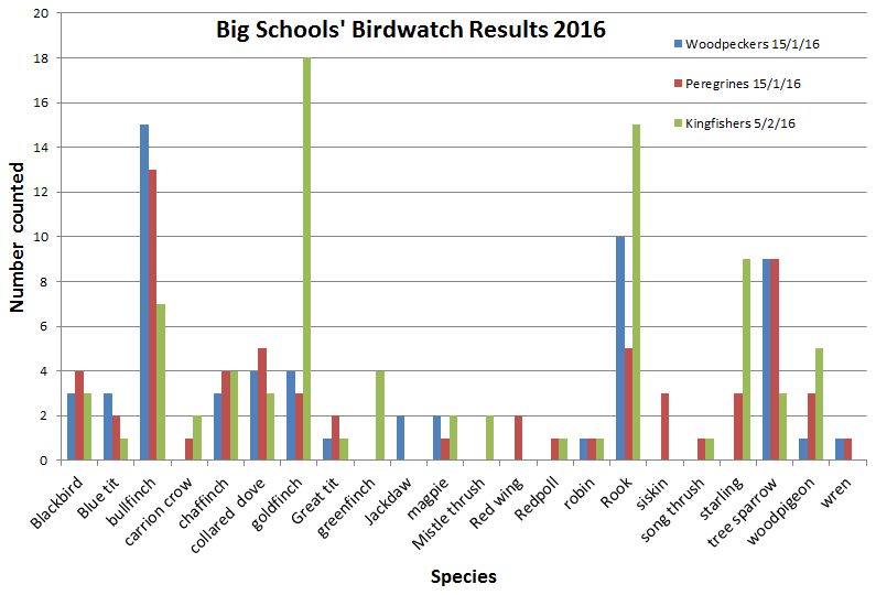 Big Schools' Birdwatch 2016
