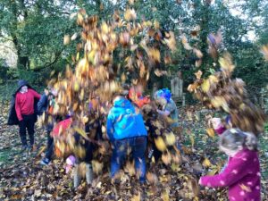 Forest schools activities